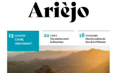 Ariejo N° 5 en ligne !